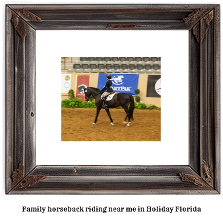 family horseback riding near me in Holiday, Florida